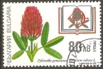 Stamps Bulgaria -  FLORES.  TRIFOLIUM  RUBENS.