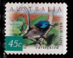 Stamps : Oceania : Australia :  REYEZUELO ADA PINTADO