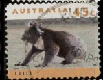 Sellos de Oceania - Australia -  koala