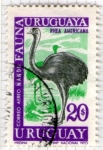 Stamps Uruguay -  15 Rhea americana
