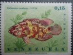 Stamps Venezuela -  Astronotus Acellatus - Vieja