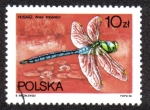 Stamps Poland -  Anax Imperator