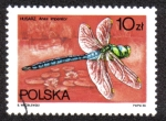 Sellos de Europa - Polonia -  Anax Imperator