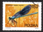 Sellos del Mundo : Europa : Polonia : Calopteryx Splendens