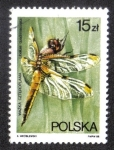 Stamps Poland -  Libélula CZTEROPLAMA