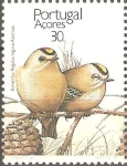 Stamps : Europe : Portugal :  AVES.  DOS  REYEZUELOS  ADULTOS.