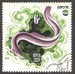 Stamps Russia -   4163 - Fauna marina, Exposición internacional en Okinawa, Oceanexpo 75