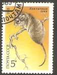 Sellos de Europa - Rusia -  5242 - Fauna de la URSS