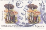 Stamps Argentina -  SETAS