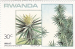 Stamps Rwanda -  DRACAENA STEUDNERI