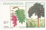 Stamps Rwanda -  HAGENIA ABYSSINICA