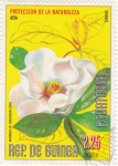 Stamps Equatorial Guinea -  PROTECCIÓN DE LA NATURALEZA- MAGNOLIA