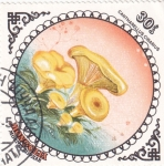 Stamps Mongolia -  SETAS- CANTHARELUS CIBARIUS