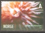 Stamps Norway -  VIDA  MARINA.  ANÈMONA  DE  MAR.