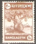 Sellos de Asia - Bangladesh -  FRUTA  DEL  GATO