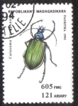 Stamps : Africa : Madagascar :  Calosoma Syenphanta