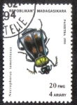 Stamps Madagascar -  Necrophorus tomentosus