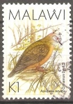 Stamps Africa - Malawi -  AVES.  PALOMA  CANELA.