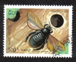 Stamps Laos -  Xilocopa Violacea