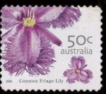 Stamps Australia -  COMMON FRINGE LILY