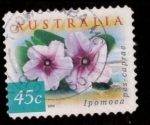 Stamps Australia -  IPOMOEA PES-CAPRAE