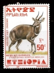 Stamps Ethiopia -  gacela