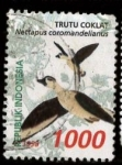Stamps Indonesia -  TRUTU COKLAT