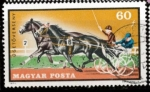 Stamps Hungary -  CARRERA TROTONES