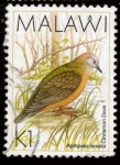 Stamps Africa - Malawi -  Aplopelia Larvata
