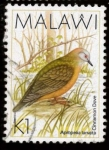 Sellos del Mundo : Africa : Malawi : Aplopelia Larvata