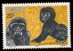 Sellos de Africa - Rwanda -  GORILAS DE MONTAÑA