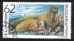 Stamps Bulgaria -  Odobenus rosmarus