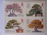 Stamps United States -  USA- BONSAI-Azalea,Banyan,Sierra Juniper,Trident Maple-(Forever)