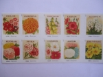 Stamps United States -  USA-FLORES-Phlox,Calendula,Linum,Alyssum,Zinnias,Pinks,Cosmo,Aster,Primrose-(Forever)