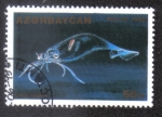 Stamps : Asia : Azerbaijan :  Loligo Vulgaris