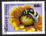 Stamps Hungary -  Abejorro