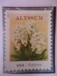 Stamps United States -  FLORES- Alyssum.