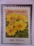 Stamps United States -  FLORES- Primrose.