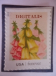 Stamps United States -  FLORES- Digitalis.