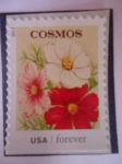 Sellos de America - Estados Unidos -  FLORES- Cosmos.