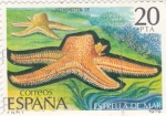 Stamps Spain -  Estrella de Mar (12)