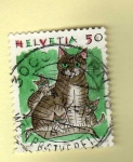 Sellos de Europa - Suiza -  Scott 871. Gatos.