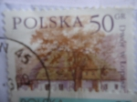 Stamps Poland -  Polska.