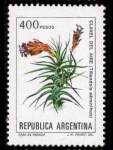 Sellos de America - Argentina -  CLAVEL DEL AIRE