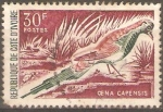 Sellos de Africa - Costa de Marfil -  AVES.  PALOMA  DE  NAMAQUA.
