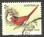 Stamps Australia -  676 - Pájaros en el nido