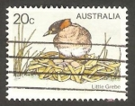 Stamps Australia -  637 - Pájaro en el nido
