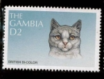 Stamps Africa - Gambia -  GATO