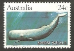 Sellos de Oceania - Australia -  763 - Ballena