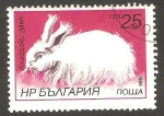 Stamps Bulgaria -  2994 - Conejo de angora